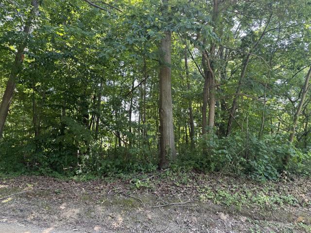 Land for sale in Coloma