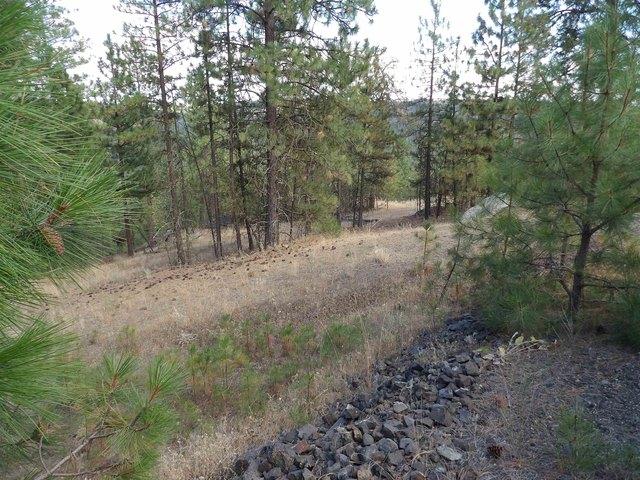 Land for sale in Davenport, Washington