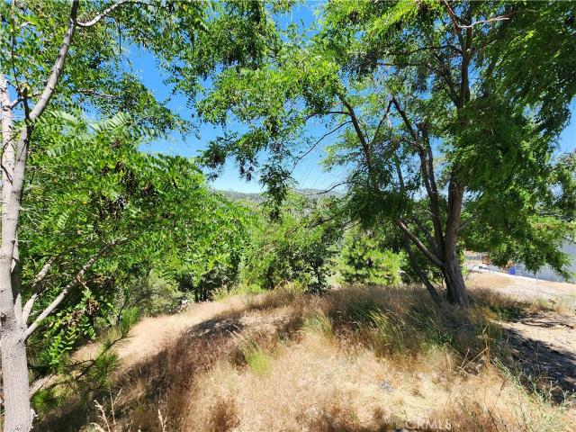 Land for sale in Running Springs