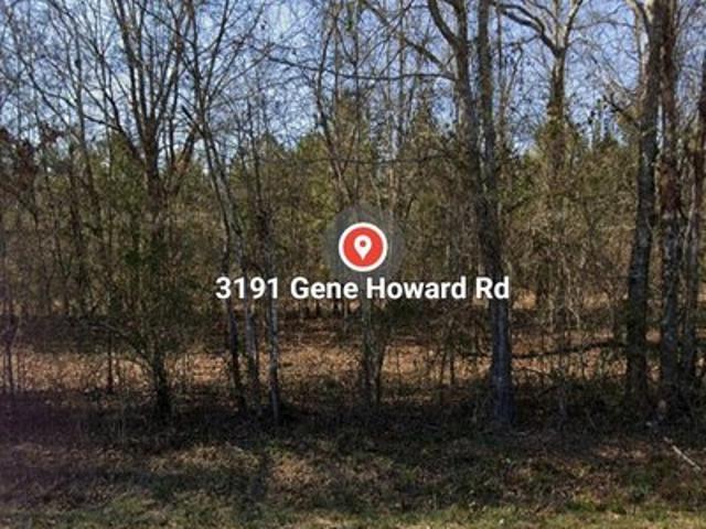 Land for sale in Stapleton, Georgia