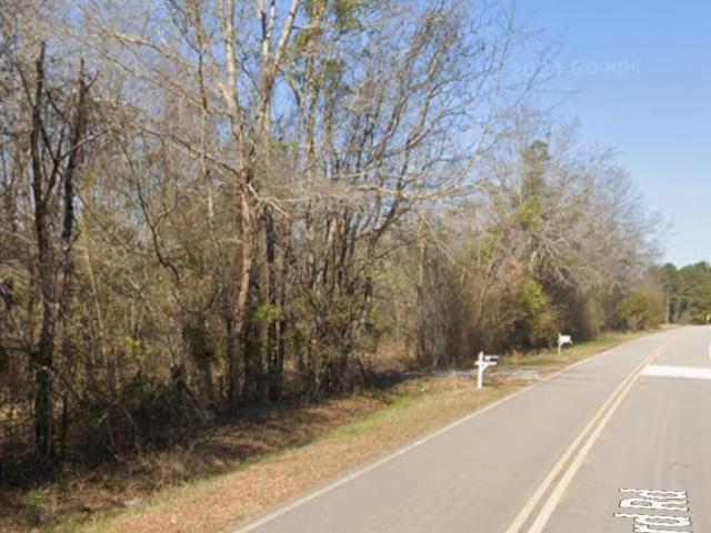 Land for sale in Stapleton, Georgia