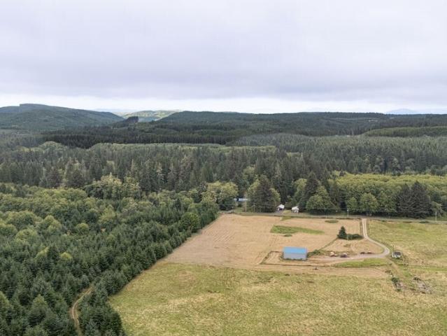 House for sale in Forks, Washington