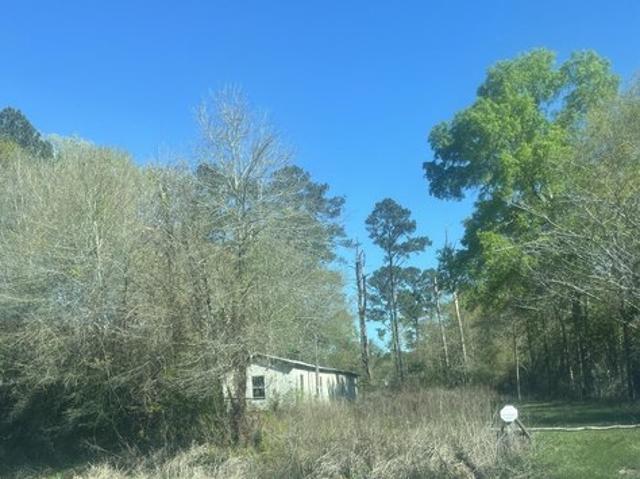 Land for sale in Denham Springs, Louisiana