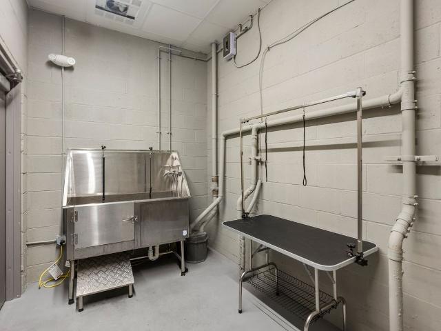 Apartment for rent in Boston, Massachusetts