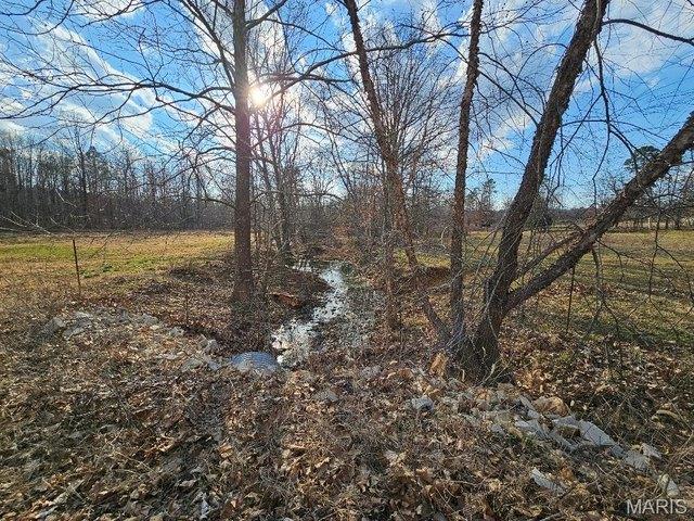 Farm for sale in Ellsinore, Missouri