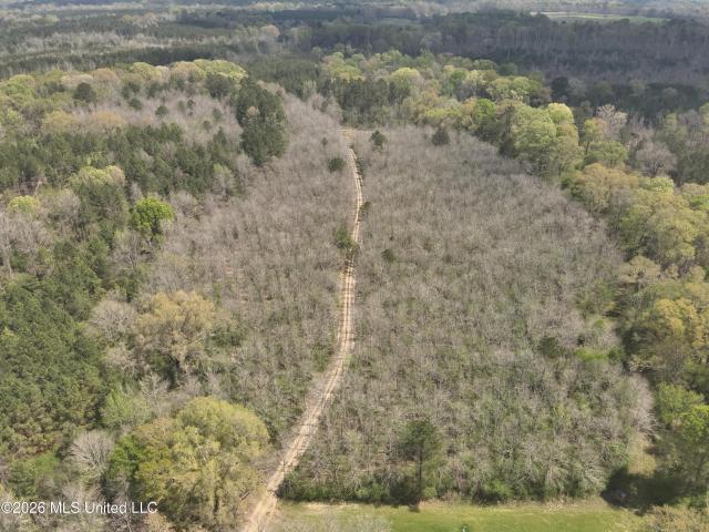 Land for sale in Hazlehurst, Copiah County