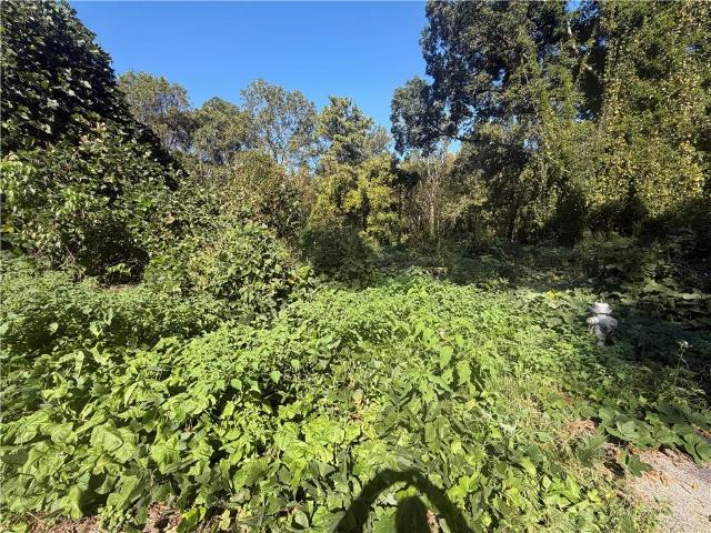 Land for sale in Scottdale, Georgia