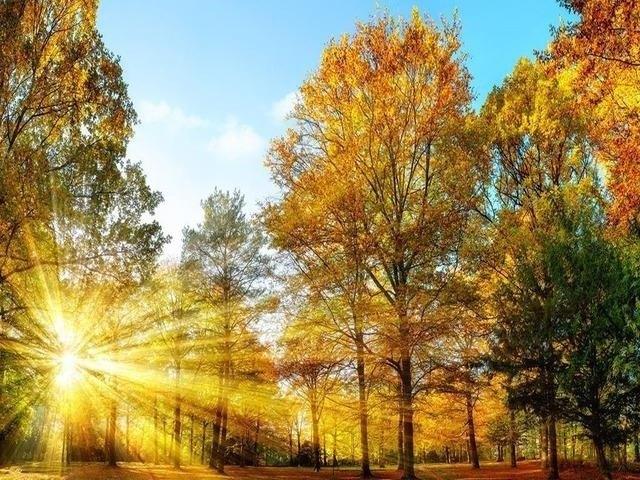 Land for sale in Owensboro, Kentucky
