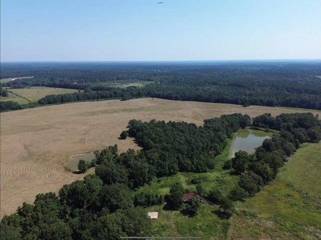 Land for sale in Magnolia, Mississippi