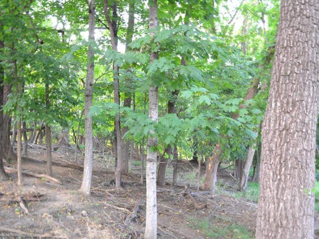 Land for sale in Virginia