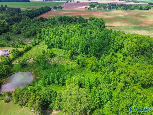 Land for sale in New Market, Alabama