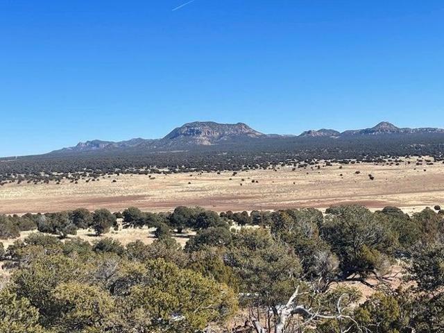 Land for sale in Pie Town, Catron County