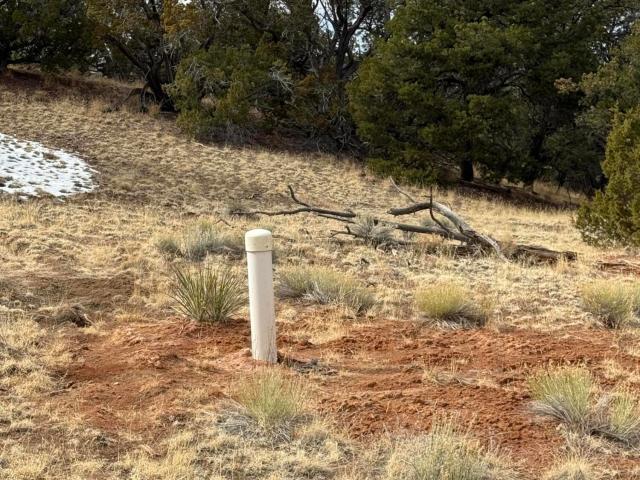 Land for sale in Catron, New Mexico