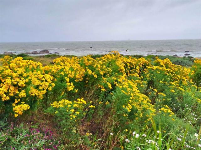 Land for sale in Western Cape
