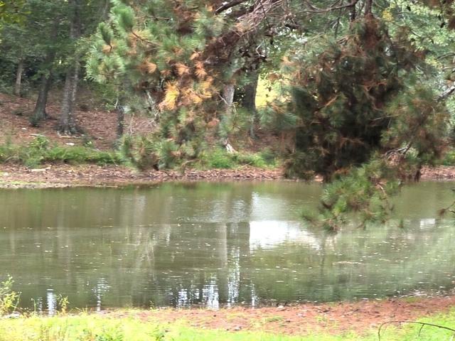 Land for sale in Jackson, Butts County