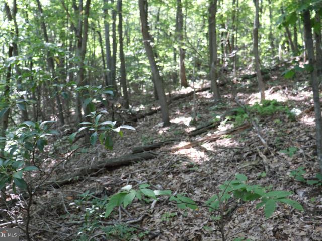 Land for sale in Blair, Pennsylvania