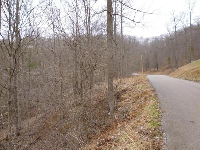 Land for sale in Manchester, Kentucky
