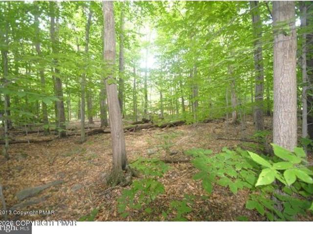 Land for sale in Blakeslee, Pennsylvania