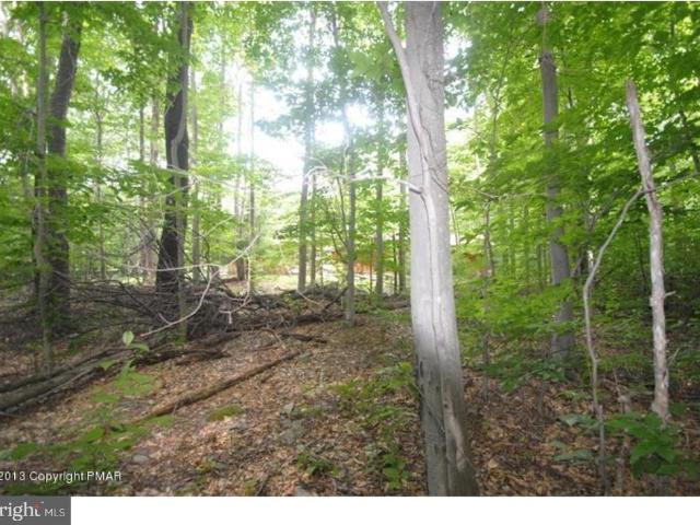Land for sale in Blakeslee, Pennsylvania