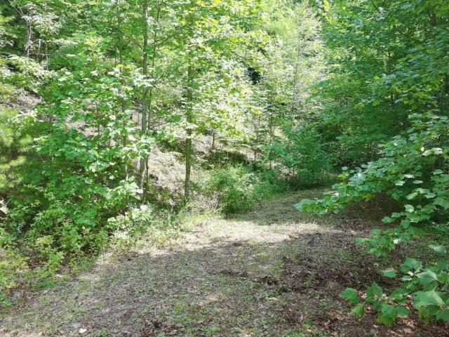 Land for sale in Hiawassee, Towns County