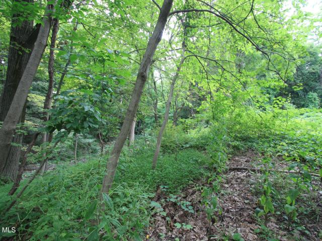 Land for sale in Hudson, New York