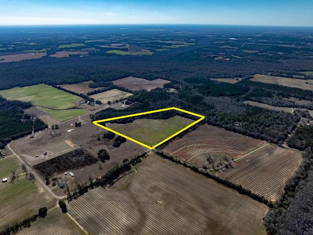Land for sale in Cottonwood, Alabama