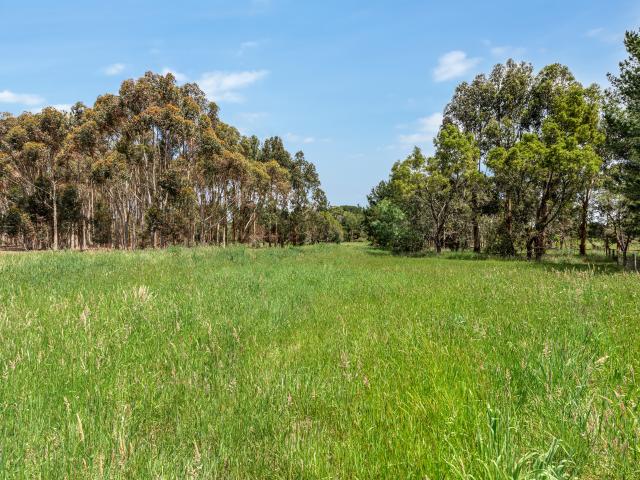 Property for sale in Camerons Creek, Victoria