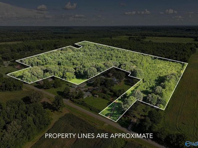 Land for sale in Leighton, Alabama