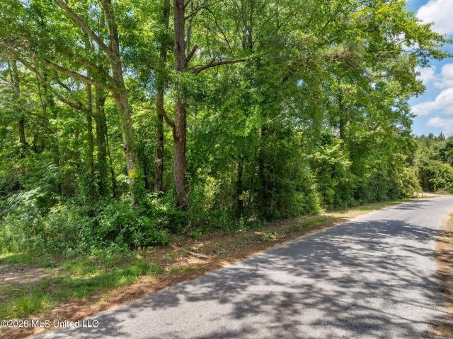 Land for sale in Bassfield, Mississippi