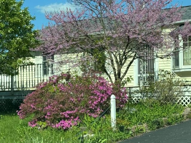 House for sale in Colonie, New York