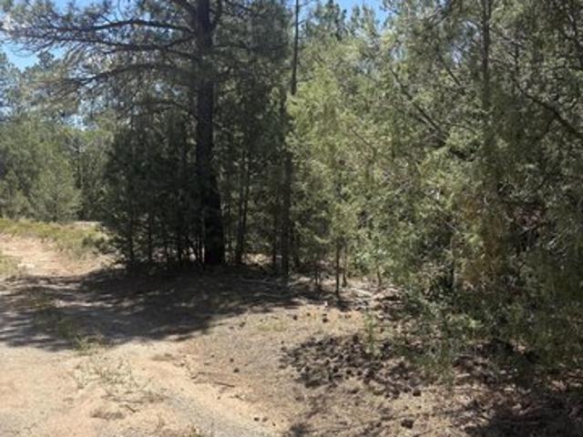 Land for sale in Placitas, New Mexico