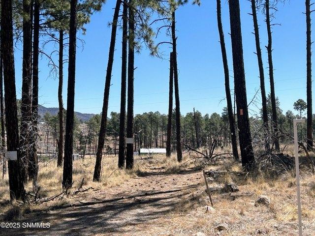 Land for sale in Cloudcroft, New Mexico