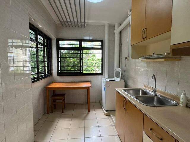 Condominium for rent in Tiong Bahru