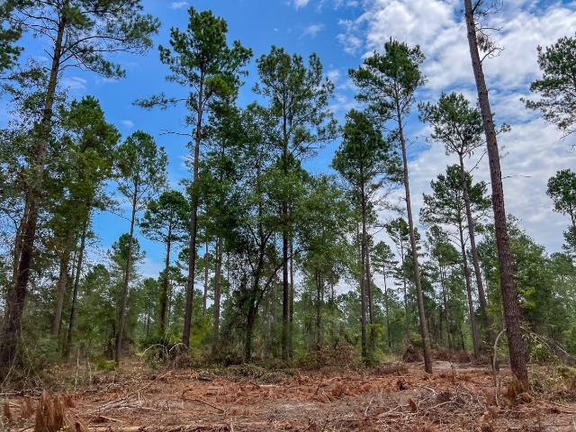 Land for sale in Groveton, Texas