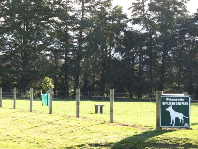 Land for sale in Greytown, Wellington