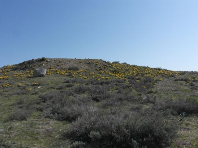 Land for sale in Washington
