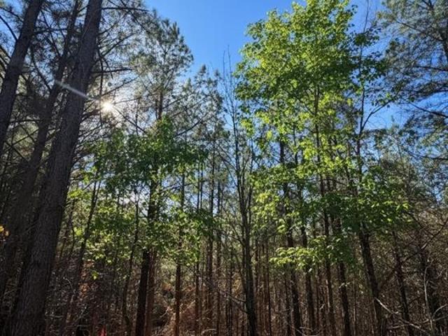 Land for sale in Broken Bow, Oklahoma