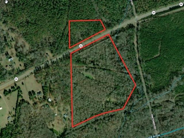 Land for sale in Buena Vista, Georgia
