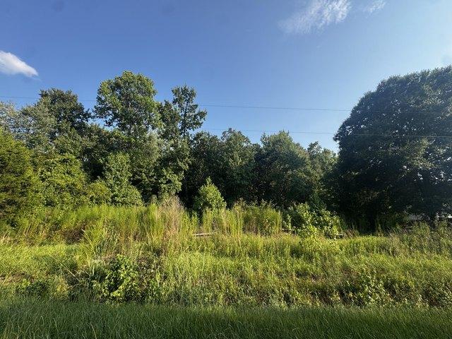 Land for sale in Cottageville, South Carolina