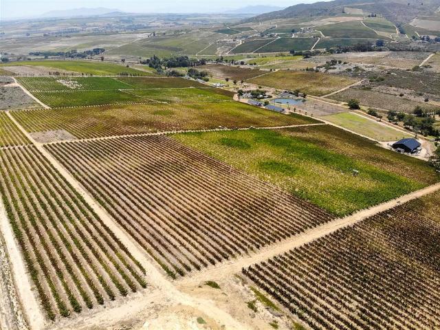 Farm for sale in Durbanville, Western Cape