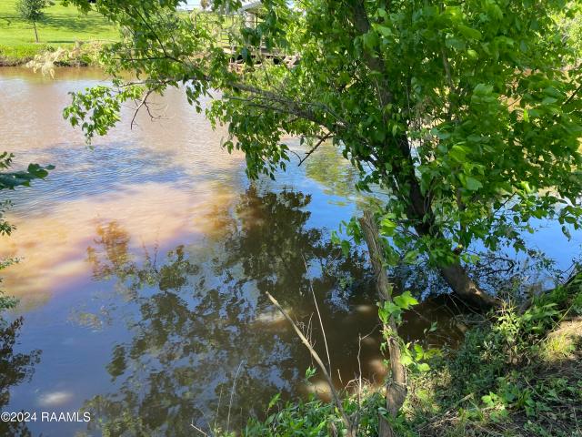 Land for sale in Leonville, Louisiana