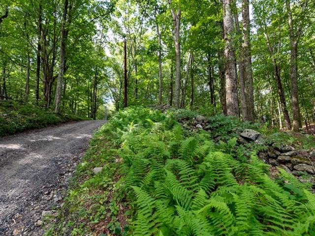 Land for sale in Roxbury, Connecticut