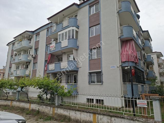 Aydin içerisinde kiralık mülk