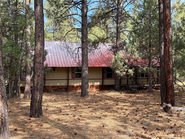 House for sale in Chama, New Mexico
