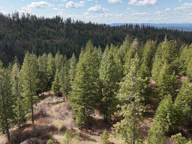 Land for sale in Chattaroy, Washington