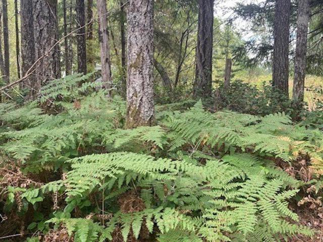 Land for sale in Hoodsport, Washington