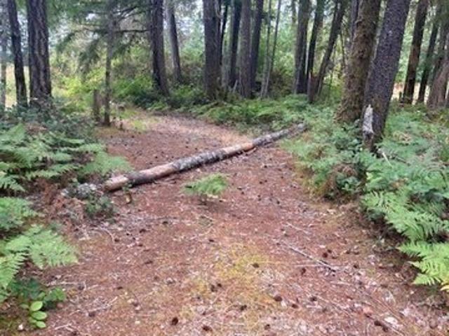 Land for sale in Hoodsport, Washington