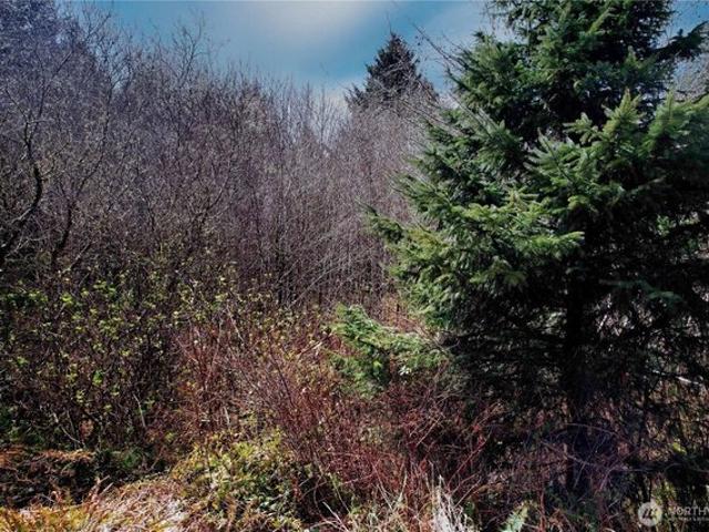 Land for sale in Moclips, Washington