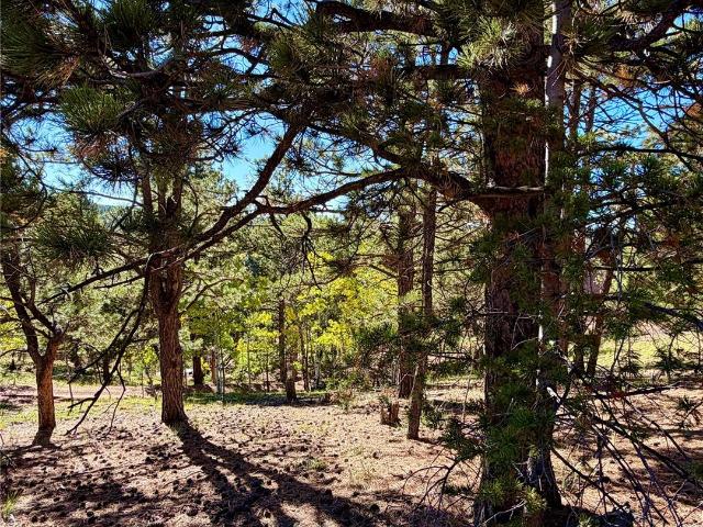 Land for sale in Divide, Teller County