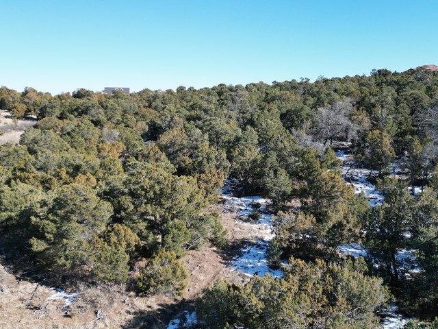 Land for sale in Tijeras, Bernalillo County